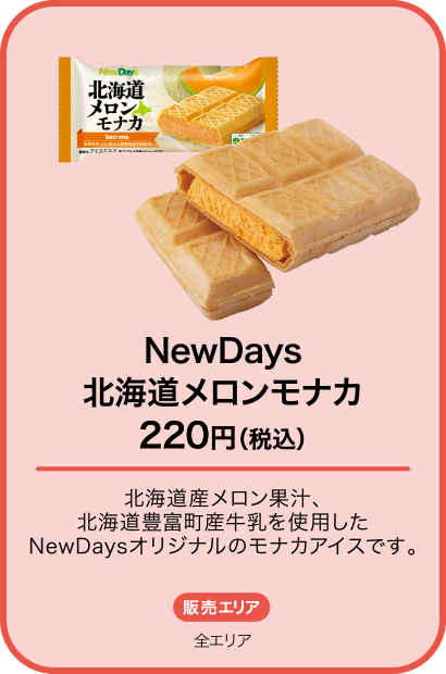 NewDays 北海道メロンモナカ
